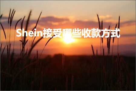 璺ㄥ鐢靛晢鐭ヨ瘑:Shein鎺ュ彈鍝簺鏀舵鏂瑰紡