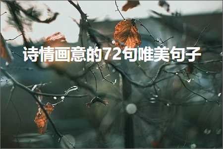 诗情画意的72句唯美句子（文案692条）