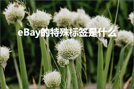 璺ㄥ鐢靛晢鐭ヨ瘑:eBay鐨勭壒娈婃爣绛炬槸浠€涔? width=