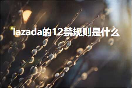 跨境电商知识:lazada的12禁规则是什么