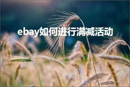 璺ㄥ鐢靛晢鐭ヨ瘑:ebay濡備綍杩涜婊″噺娲诲姩