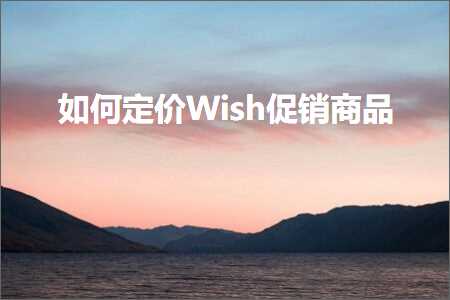 璺ㄥ鐢靛晢鐭ヨ瘑:濡備綍瀹氫环Wish淇冮攢鍟嗗搧