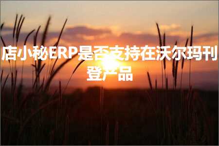 璺ㄥ鐢靛晢鐭ヨ瘑:搴楀皬绉楨RP鏄惁鏀寔鍦ㄦ矁灏旂帥鍒婄櫥浜у搧